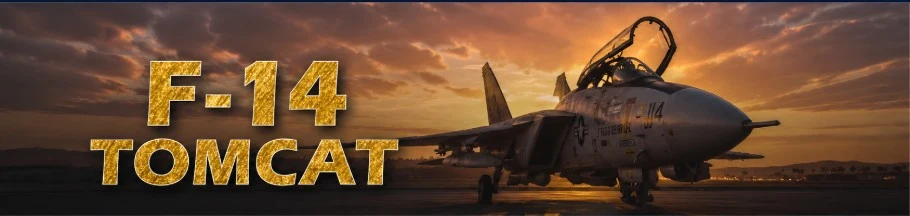 F-14 Tomcat